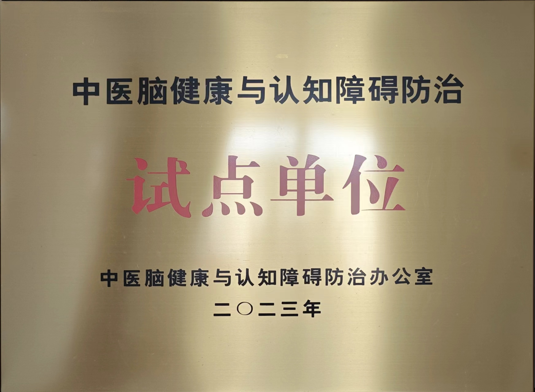 中醫(yī)腦健康.jpg